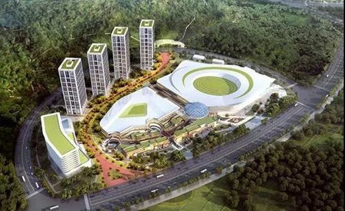 武漢躋身全球二線城市 運動項目經(jīng)營迎來新機遇